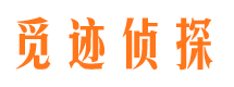 定兴外遇出轨调查取证